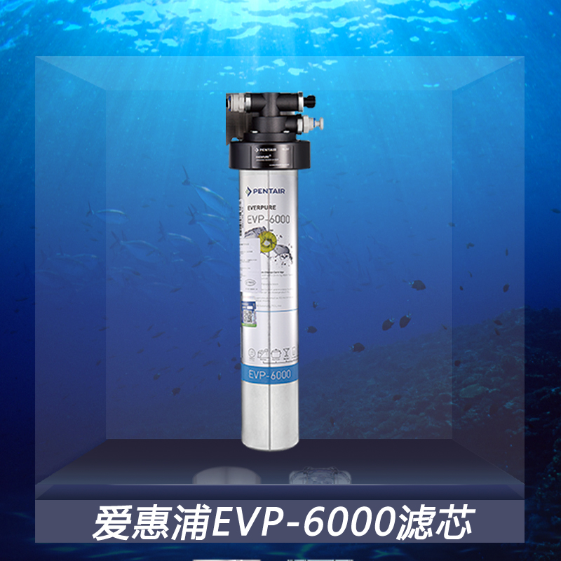 爱惠浦EVP-6000净水器滤芯